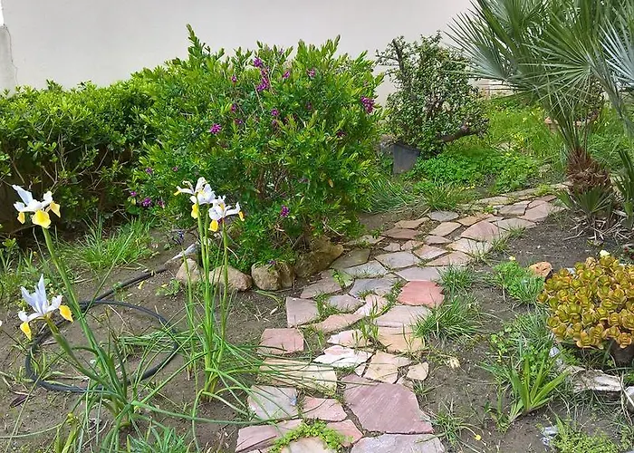 Appartamento Tulipano