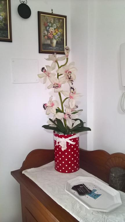 Apartment Tulipano Alghero